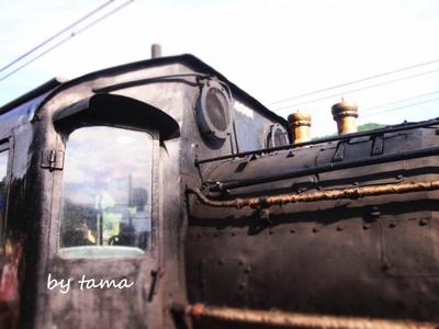 がんばる大井川鉄道のSL♪ SLフェスタ
