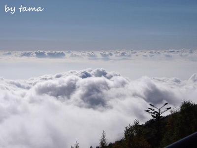 緊急UP 今からおススメの 富士山スカイライン五合目 紅葉~