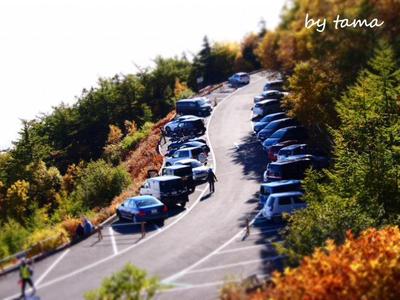 緊急UP 今からおススメの 富士山スカイライン五合目 紅葉~