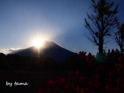 山中湖で出逢った 富士山あれこれ~♪