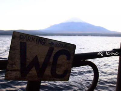 山中湖で出逢った 富士山あれこれ~♪