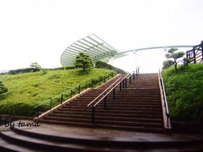横浜幻想♪ 港の見える丘公園 ムービーあり。