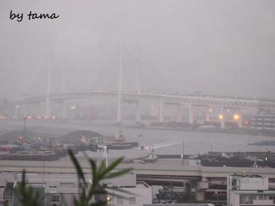 横浜幻想♪ 港の見える丘公園 ムービーあり。