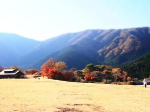 紅葉 田貫湖 まだいいよ♪ もみじフォトとか富士山