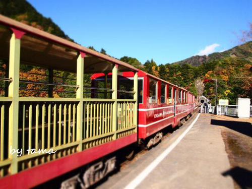 紅葉トロッコ列車の旅 マイ動画3本 バリミュージック&スライド&ムービー 大井川鉄道 南アルプスあぷとライン
