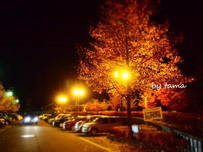 千頭駅 秋の終わりの風景♪