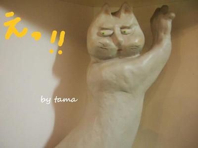 なんてこった=======!!!!!BY 猫の博物館