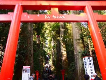 とりあえず 新年らしく・・・・・♪