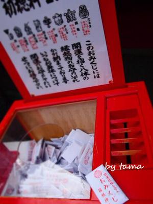 とりあえず 新年らしく・・・・・♪