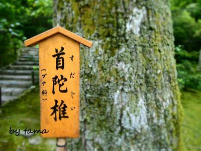 一発ネタ♪ 結構いるかも・・・・・