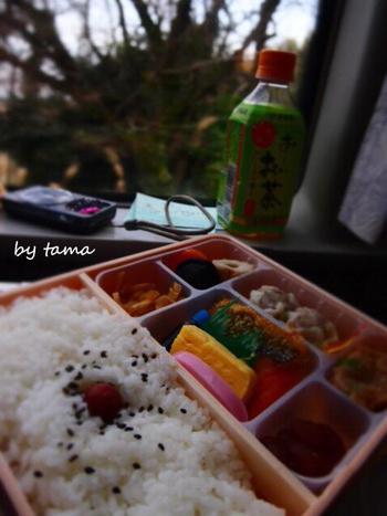 おたのしみ弁当♪ 下田ちょい旅 ③