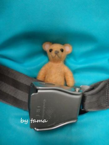 人気の癒しのクマものがたり 南国の旅 バリ島幻想スナップ写真♪