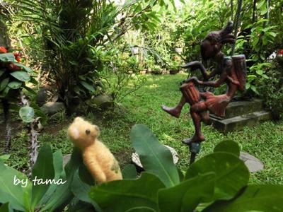 人気の癒しのクマものがたり 南国の旅 バリ島幻想スナップ写真♪