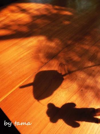 人気の癒しのクマものがたり 南国の旅 バリ島幻想スナップ写真♪