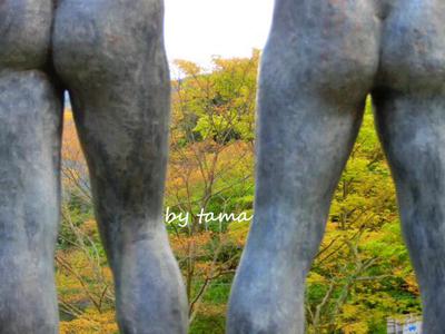 心が和むクマものがたり♪ 姫の沢公園番外編 クマッたクマ