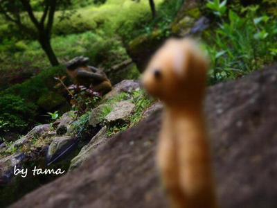 心が和むクマものがたり♪ 姫の沢公園番外編 クマッたクマ