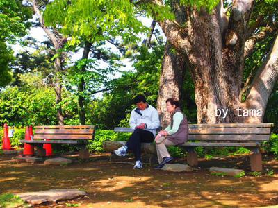 二人の会話 息子の決断・・・・・・