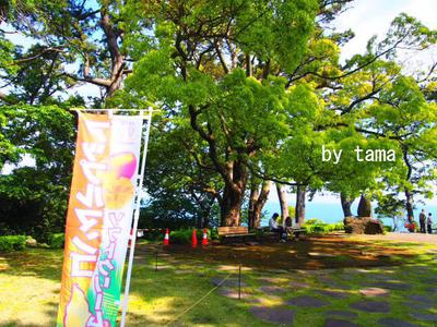 二人の会話 息子の決断・・・・・・