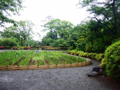 小田原城に 行って来たじょう♪