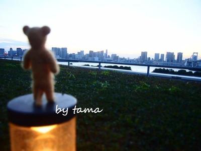 僕は クマっ♪ いつか僕だって・・・・・