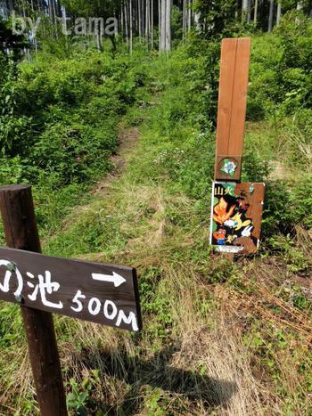 気になる事 山火事よりも・・・・・・