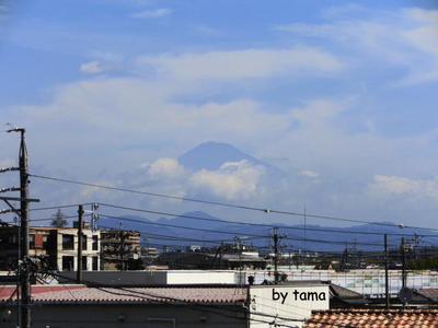 家のベランダから 久々の富士山♪