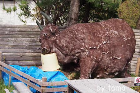 モー大変