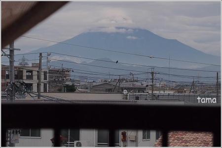 珍しく富士山 珍しく富士山