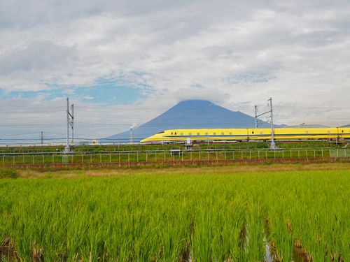 緑の中を走る~♪ 緑の中を走る~♪