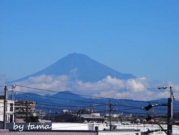 台風一過の富士山と満月♪