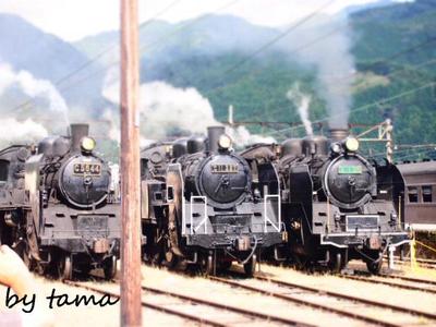 大井川鉄道 SL重連走行♪ SLフェスタ