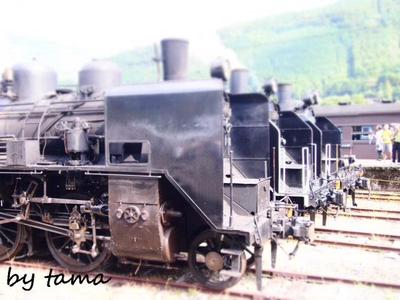 大井川鉄道 SL重連走行♪ SLフェスタ