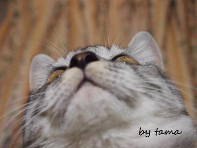 タマオ君 いよいよ・・・・・