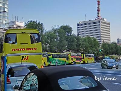 はとバス軍団♪