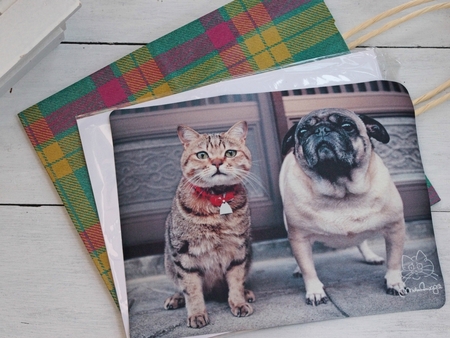 ねこのとけい 岩合さんミニ写真展 ねこのとけい 岩合さんミニ写真展