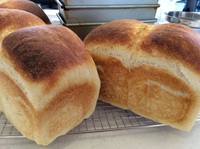 焼き目しっかり自家製酵母食パン