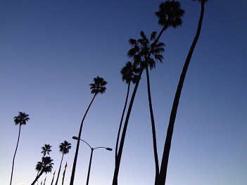 Rose Bowl Flea Market