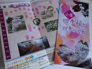 ちょっと いいかも~♪