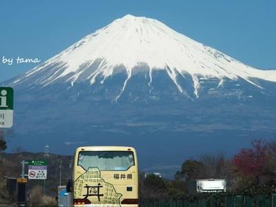 富士山あれこれ♪