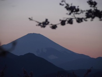 富士山あれこれ♪