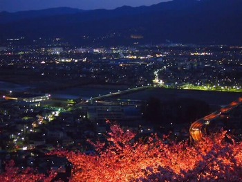 まつだ桜まつり~♪ その に~!!夜景