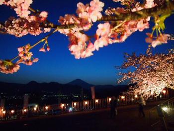 まつだ桜まつり~♪ その に~!!夜景