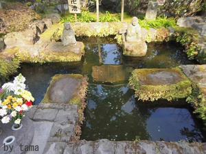 鎌倉 のほほんリポート~♪ ①