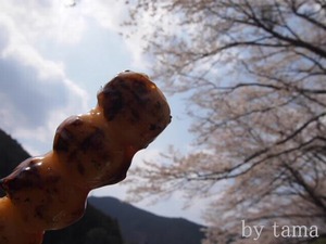 花より団子~♪