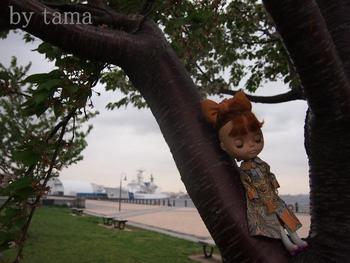 Blythe in Yokohama
