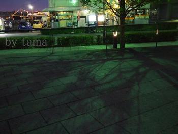 たそがれBlythe in Yokohama