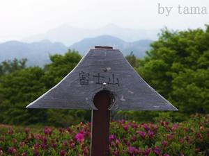 これから おススメ~♪ 伊豆の国パノラマパーク