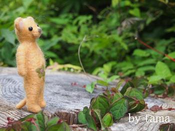踊り子に出会った♪ クマものがたり