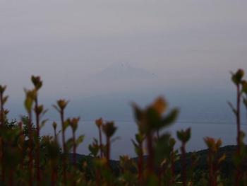 だるま山から 富士山♪