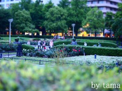 横浜 山下公園~♪